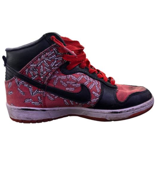 Nike Dunk High x Paul Marrot “Skinny ‘Aurore - Feathers”