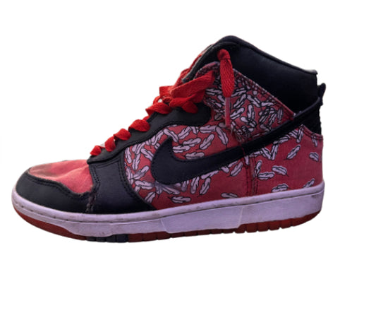 Nike Dunk High x Paul Marrot “Skinny ‘Aurore - Feathers”