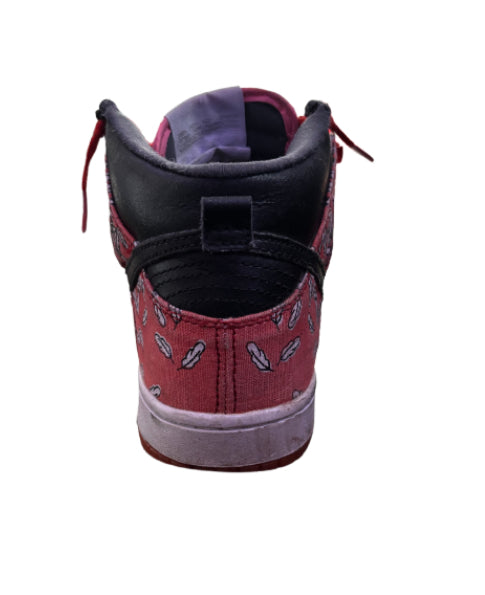 Nike Dunk High x Paul Marrot “Skinny ‘Aurore - Feathers”