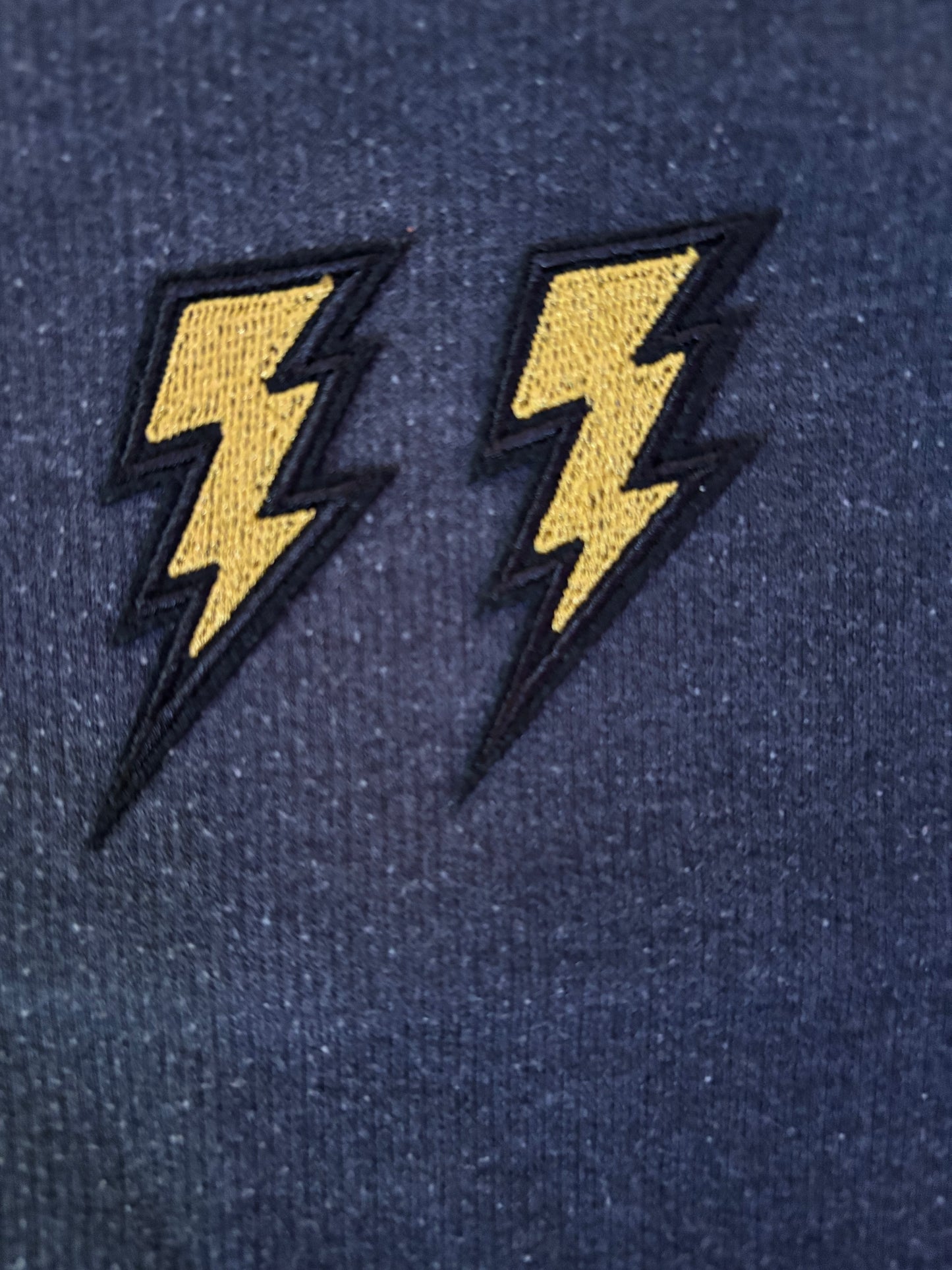 Double Thunderbolt Grey Sweatshirt